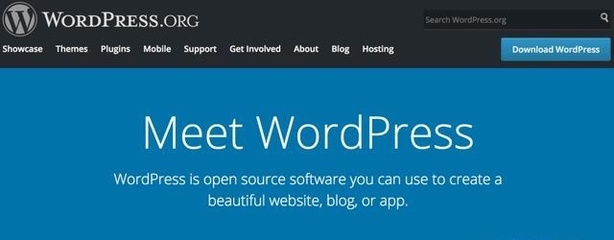 為什么我選擇 WordPress 來建站？深入解析 9 大核心理由